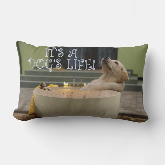 It's a dogs life lumbar pillow (Front)