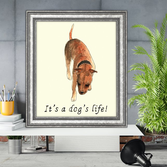 Its a Dogs Life Quote and Cute Dog Watercolor Poster (Its a dogs life quote and watercolor Staffordshire bull terrier poster)