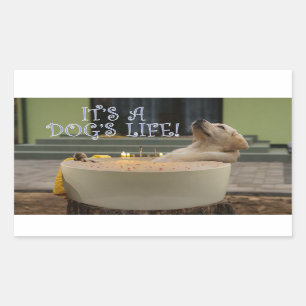 It's a dogs life rectangular sticker