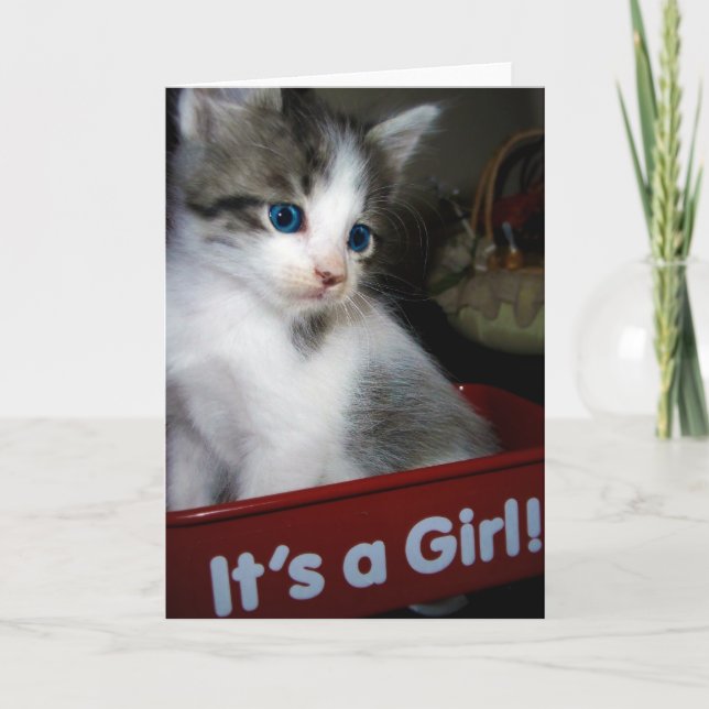 ITS A GIRL =^o^= Announcement (Front)