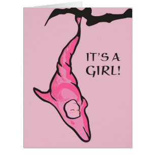 it's a girl! (pink dolphin cocoon)