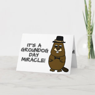 It's a groundhog day miracle card