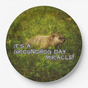 It's a groundhog day miracle plates