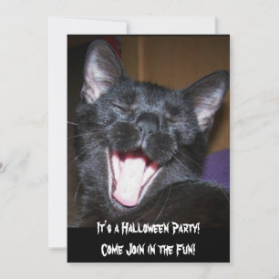 It's a Halloween Party Cat Invitation