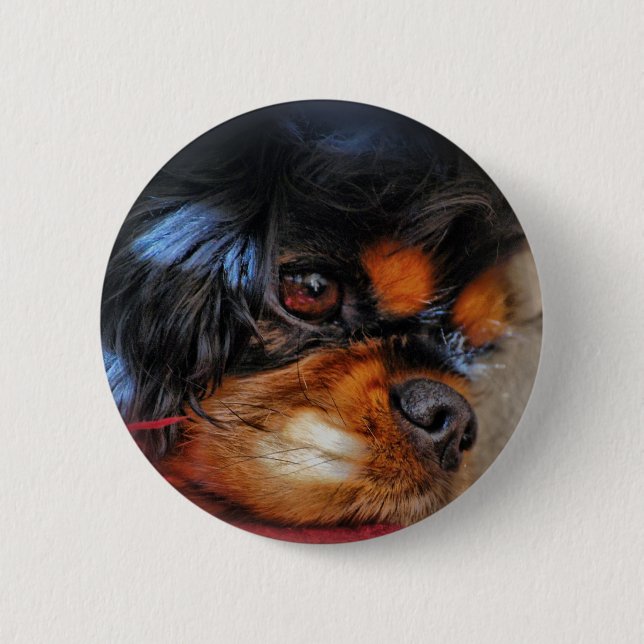 IT'S A HARD LIFE....... 2 INCH ROUND BUTTON (Front)
