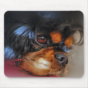 IT'S A HARD LIFE....... MOUSE PAD