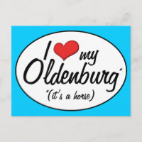 It's a Horse! I Love My Oldenburg