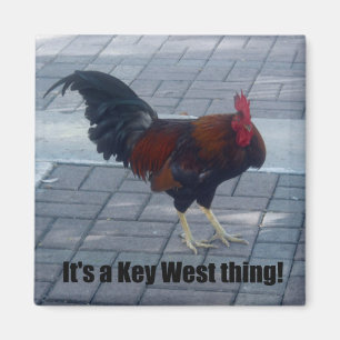 It's a Key West thing! Magnet
