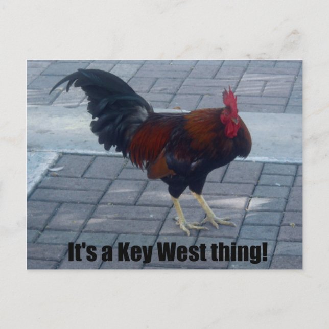 It's a Key West thing! Postcard (Front)