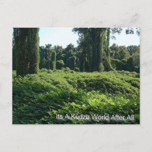 Its A Kudzu World After All Postcard