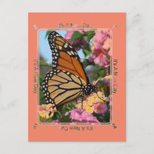 It's A New Day Monarch Butterfly Postcard