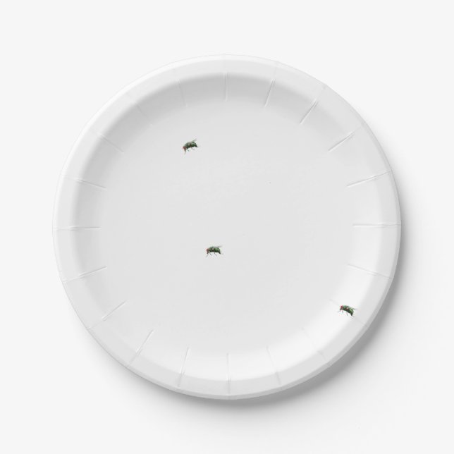 It's A Picnic, There's Gonna Be Flies Paper Plate (Front)