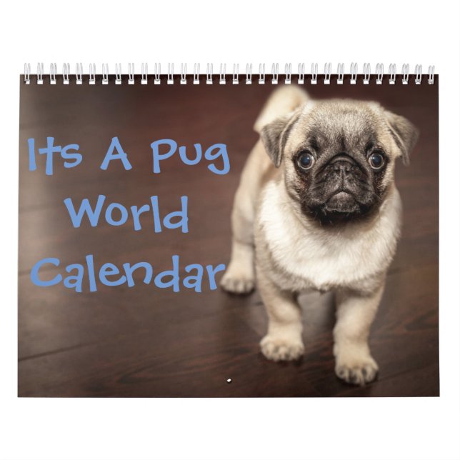 It's A Pug  Calendar (Cover)