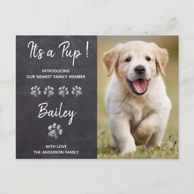 It's a Pup New Pet Puppy Dog Announcement Postcard (Front)