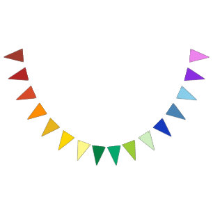 It's a Rainbow Party, Multi-Coloured Solids Patter Bunting Flags