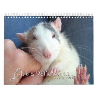 It's a Rat World Calendar 2016