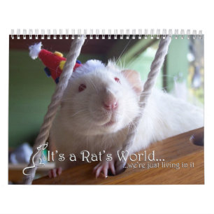 It's a Rat World Calendar 2016