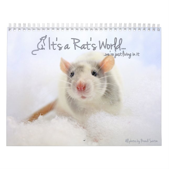It's a Rat's World Calendar (Cover)