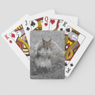 It's A Squirrel Playing Cards
