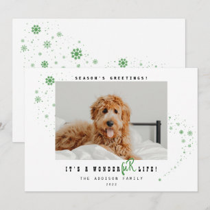 It's A WonderFUR Life Pet Photo Christmas Holiday Card
