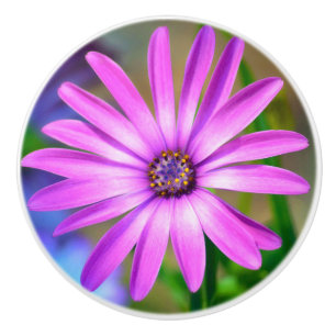 It's About Me Daisy Ceramic Knob