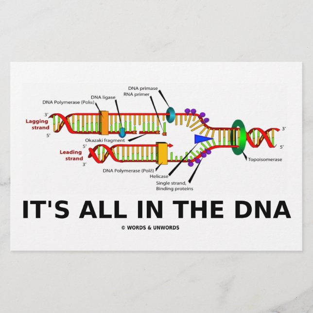 It's All In The DNA (Front)