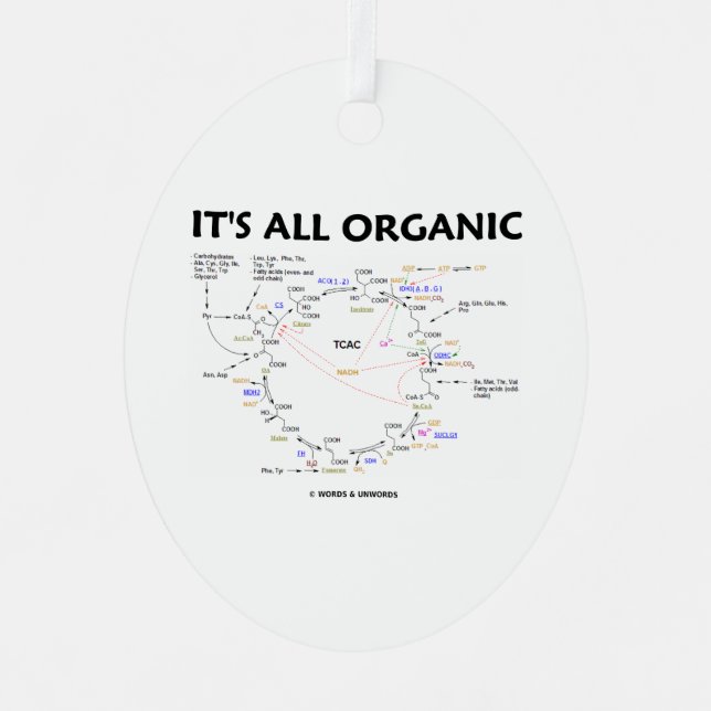 It's All Organic Krebs Cycle Citric Acid Cycle Metal Ornament (Front)
