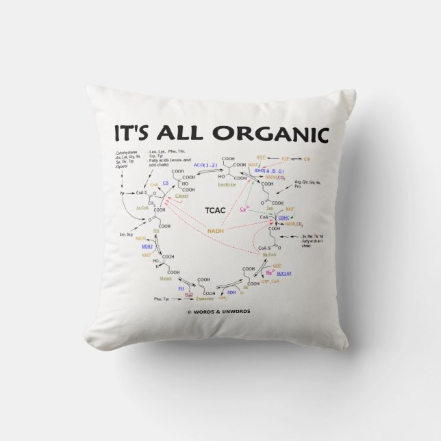 It's All Organic Krebs Cycle Citric Acid Cycle Throw Pillow (Front)