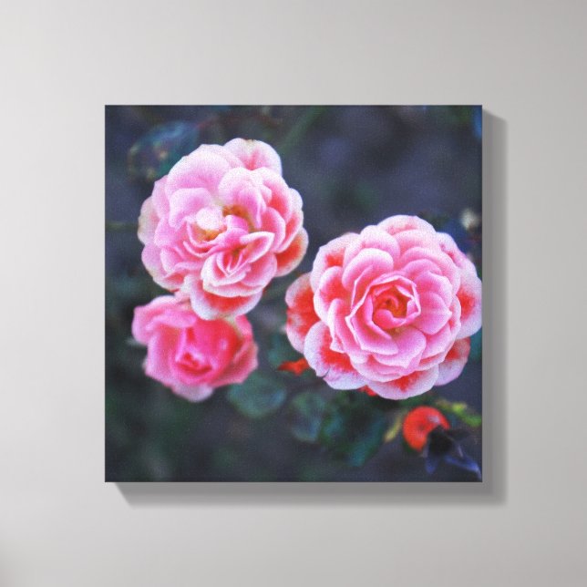 I'ts all Roses Canvas Print (Front)