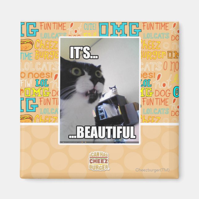 It's Beautiful Magnet (Front)