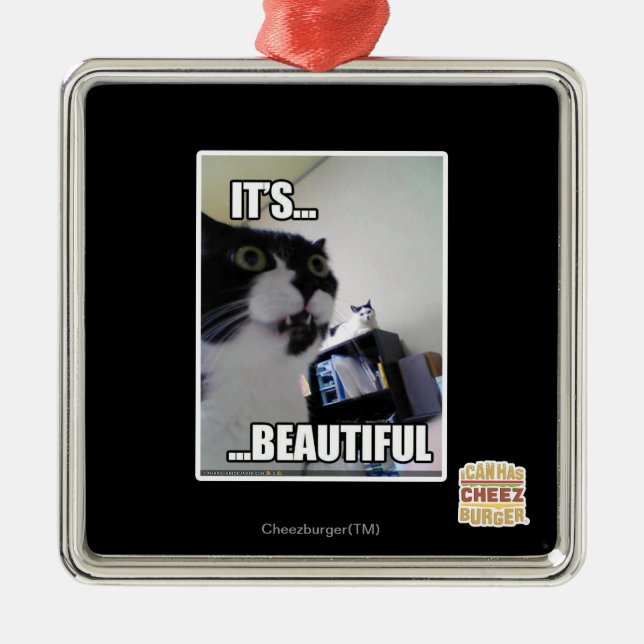 It's Beautiful Metal Ornament (Front)