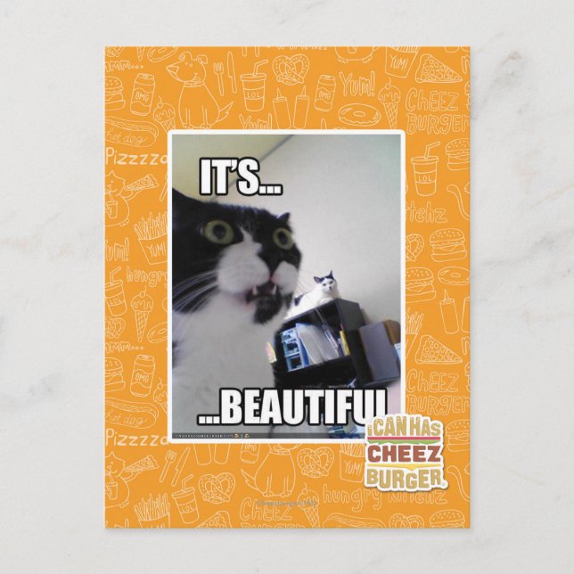 It's Beautiful Postcard (Front)