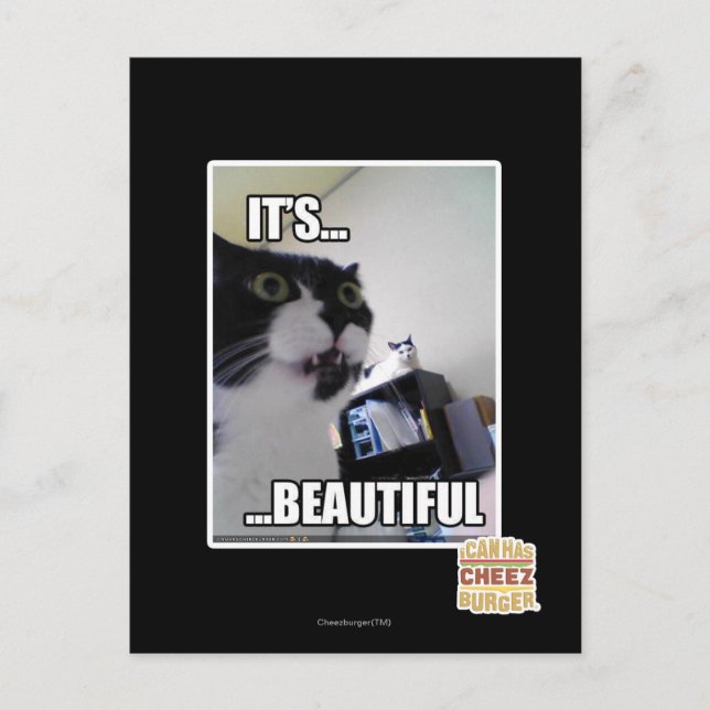 It's Beautiful Postcard (Front)
