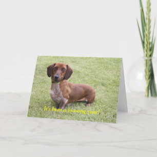 It's been a loooong year card