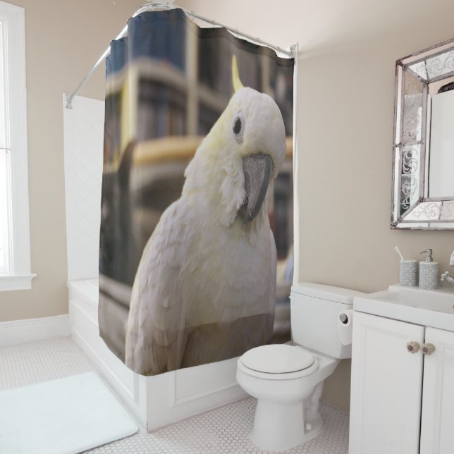 It's behind me...isn't it? (In Situ)