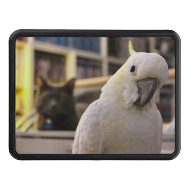 It's behind me...isn't it?     trailer hitch cover (Front)