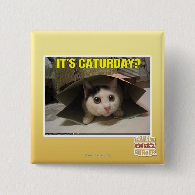 It's Caturday? 2 Inch Square Button (Front)