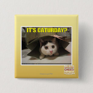 It's Caturday? 2 Inch Square Button