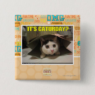 It's Caturday? 2 Inch Square Button