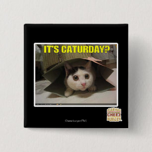It's Caturday? 2 Inch Square Button