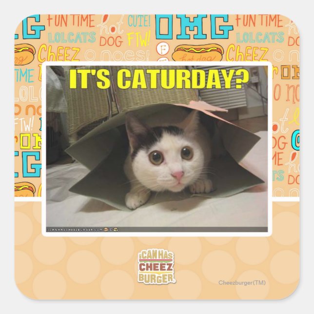 It's Caturday? Square Sticker (Front)