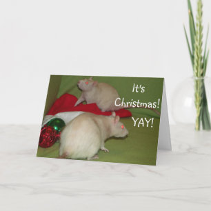 It's Christmas! card