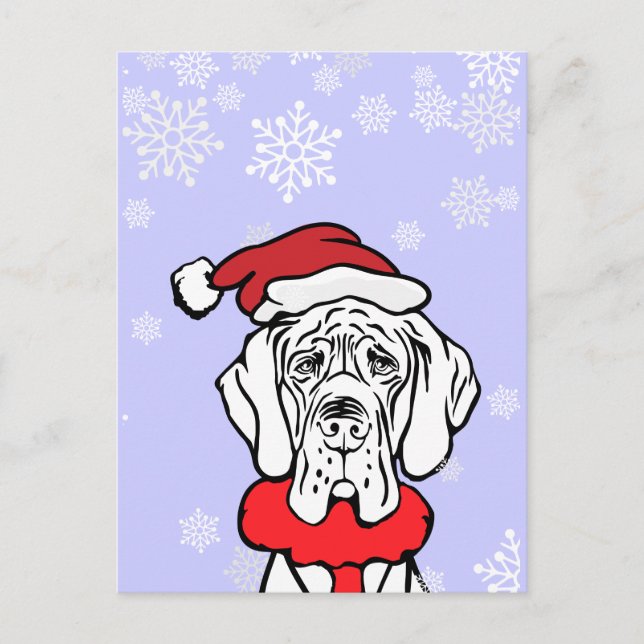 It's Christmas Time Holiday Postcard (Front)