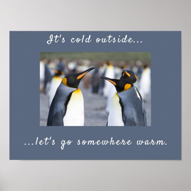 It's cold outside King Penguin photo with text Poster (Front)