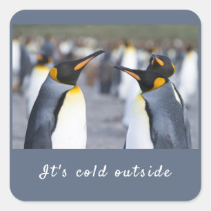 It's cold outside King Penguin photo with text Square Sticker