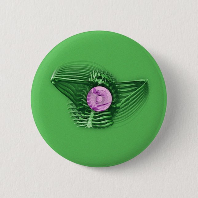 IT'S COMING AND IT'S REAL 2 INCH ROUND BUTTON (Front)