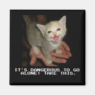 It's Dangerous To Go Alone Magnet