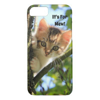 It's For Mew Kitten