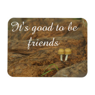 It's good to be friends magnet
