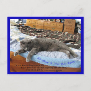 It's Good To Be King Postcard